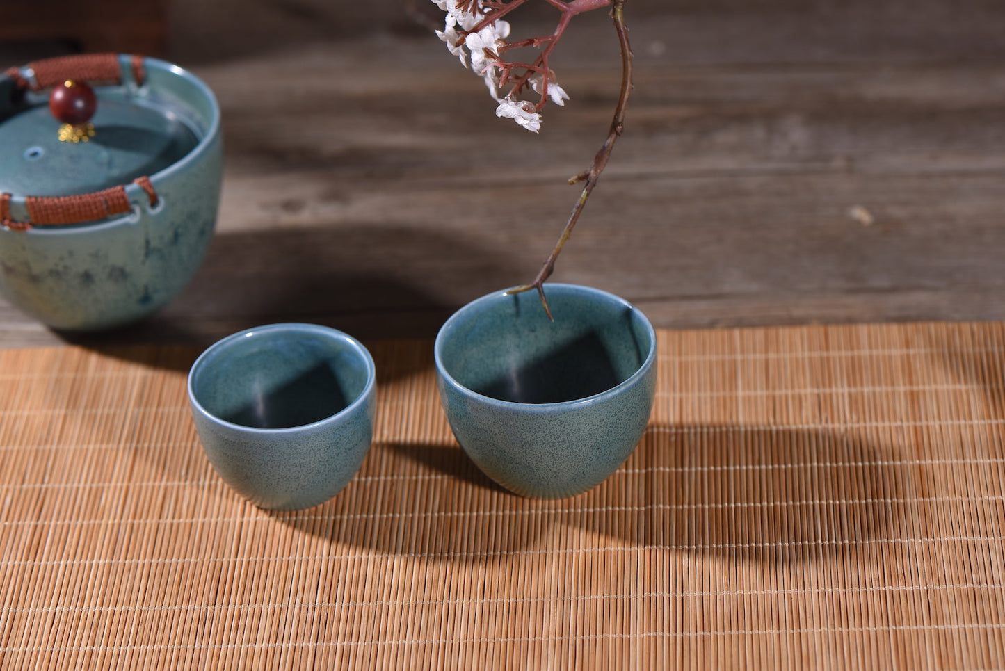 Easy Gaiwan and Cups Travel Tea Set in Carrying Case