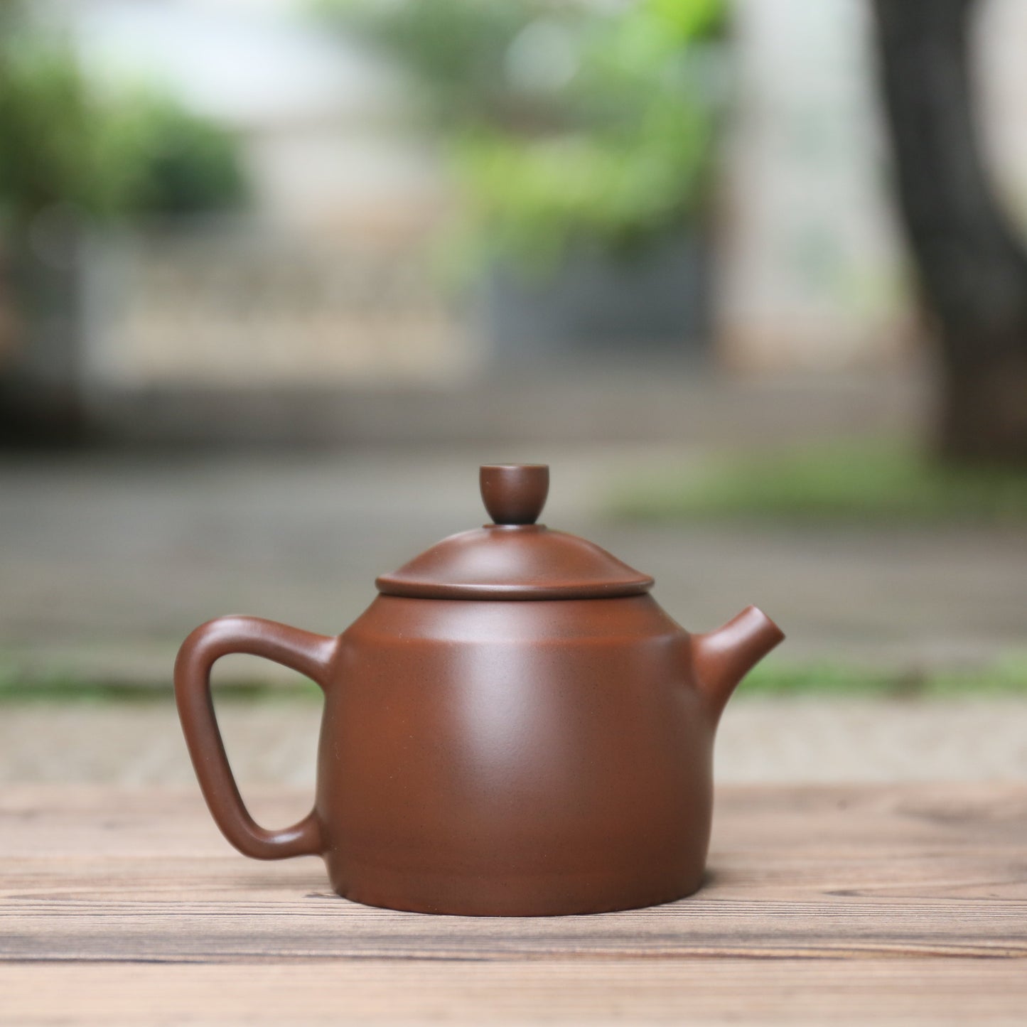 Jian Shui Clay "Gu Cang Hu" Teapot by Su Mo