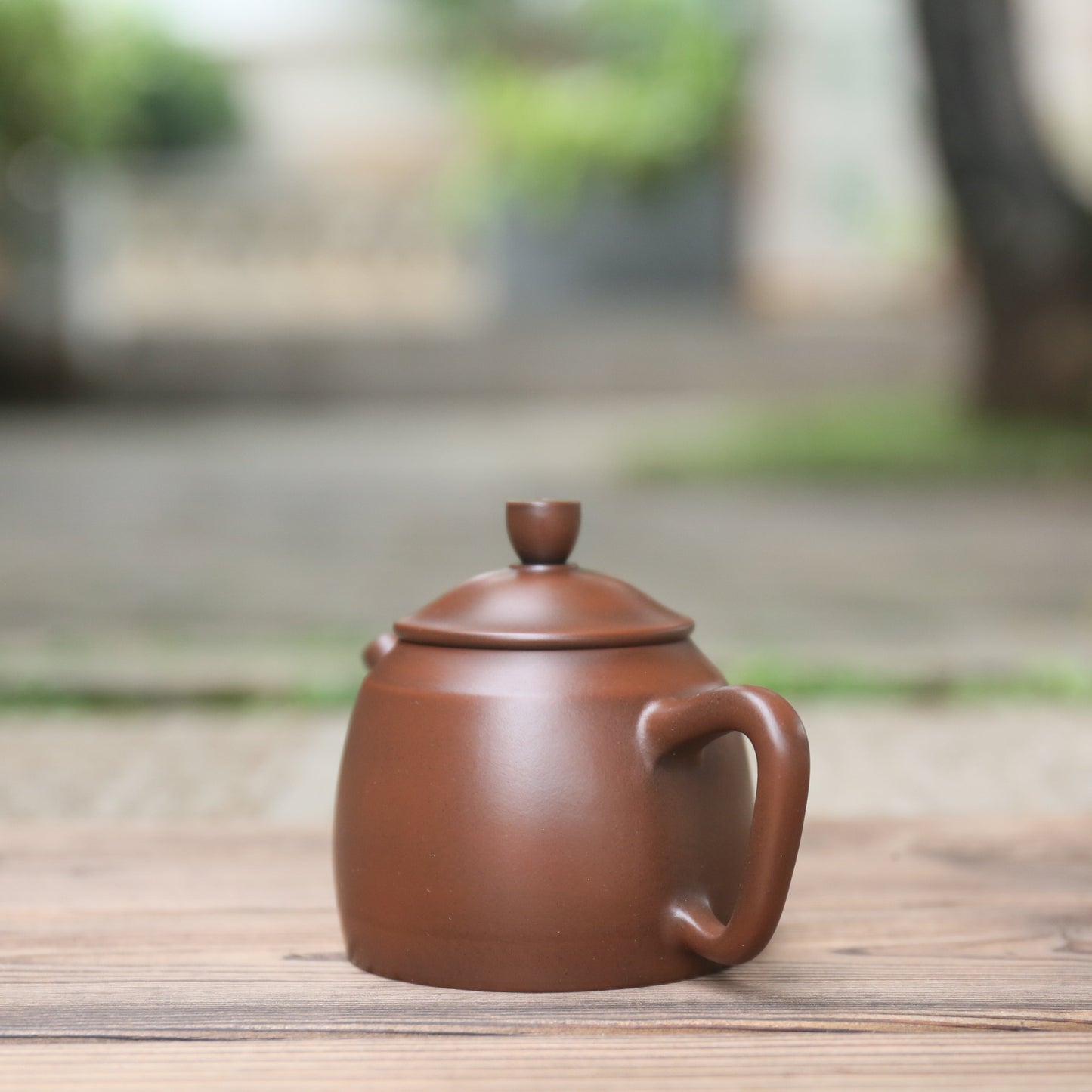 Jian Shui Clay "Gu Cang Hu" Teapot by Su Mo