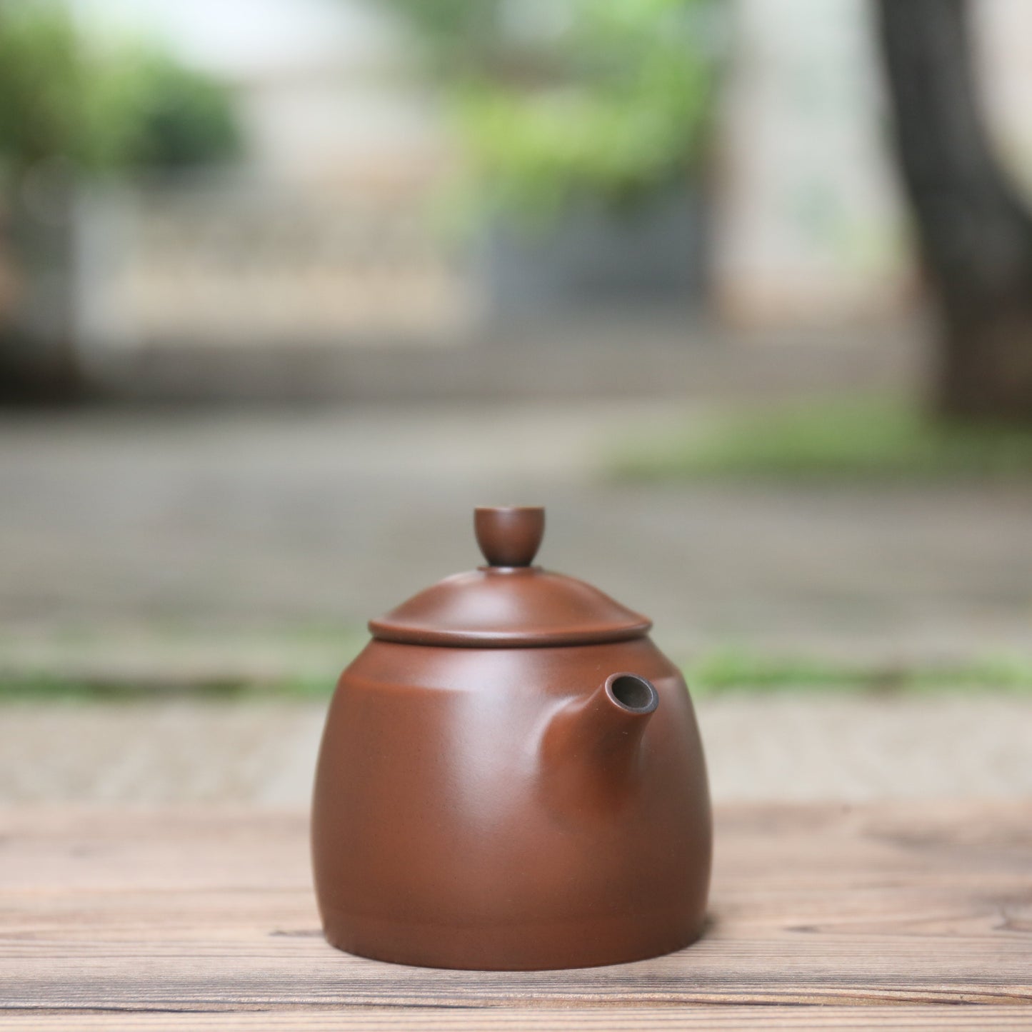 Jian Shui Clay "Gu Cang Hu" Teapot by Su Mo